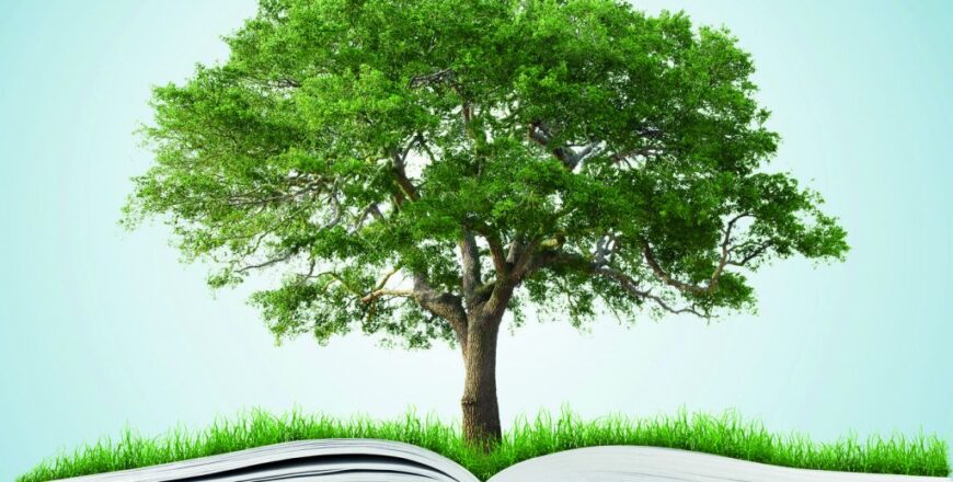 foto-de-apoyo-educacion-ambiental-1024x861