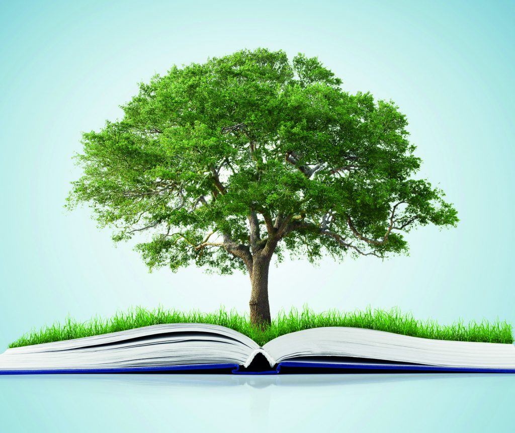foto-de-apoyo-educacion-ambiental-1024x861
